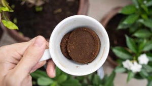 Unlock Your Garden's Potential: 4 Clever Ways Coffee Grounds Naturally Fight Pests