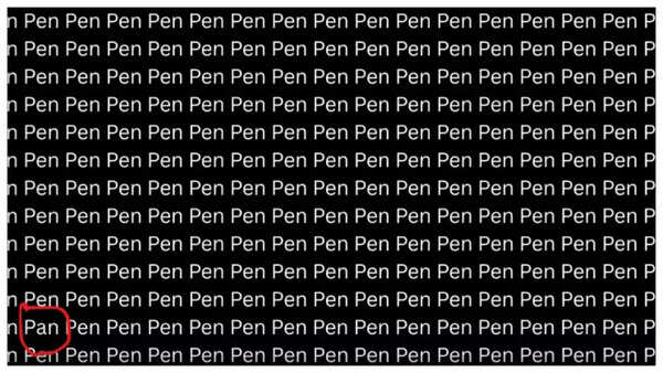 The solution to the word puzzle: the word 'pan' is highlighted