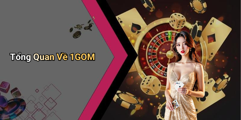 Tổng Quan Về 1GOM