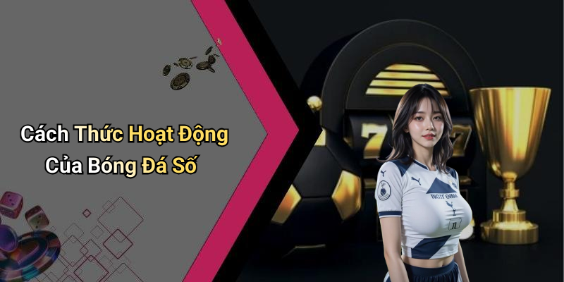 Cách Thức Hoạt Động Của Bóng Đá Số