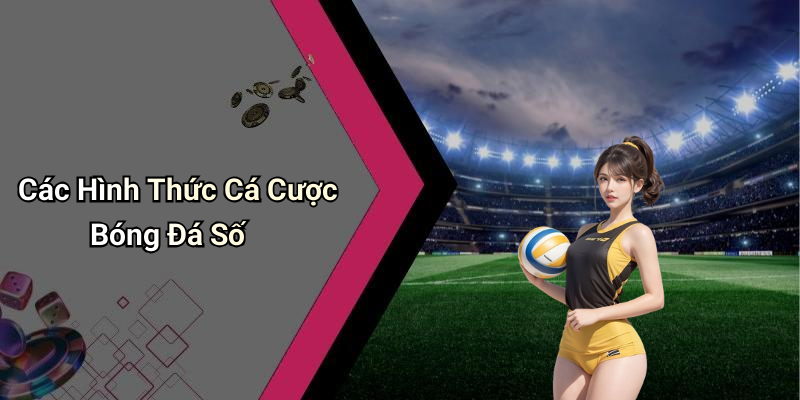 Các Hình Thức Cá Cược Bóng Đá Số