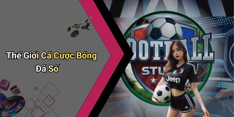 Thế Giới Cá Cược Bóng Đá Số