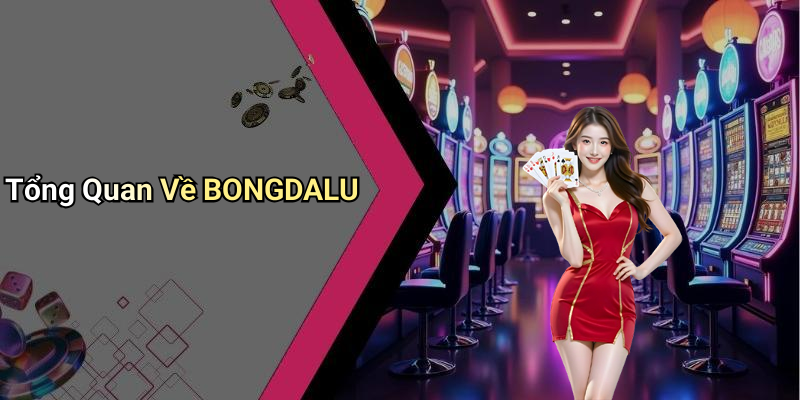 Tổng Quan Về BONGDALU