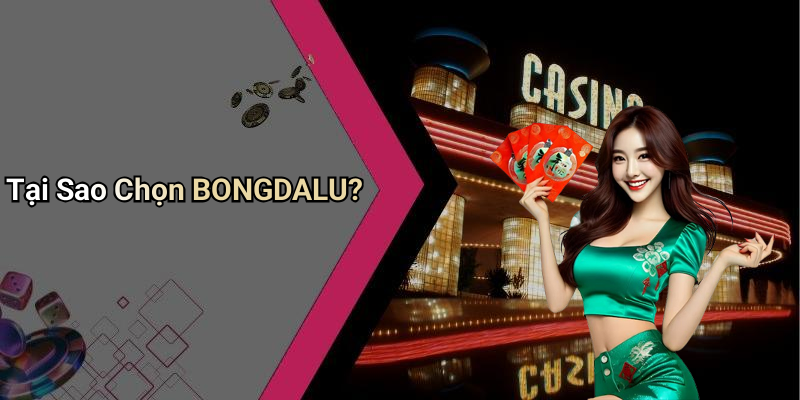 Tại Sao Chọn BONGDALU?