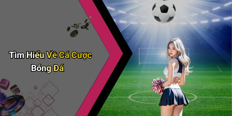 Tìm Hiểu Về Cá Cược Bóng Đá