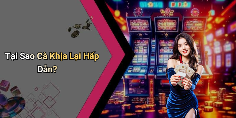 Tại Sao Cà Khịa Lại Hấp Dẫn?