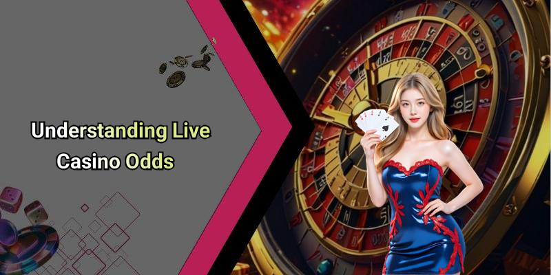 Understanding Live Casino Odds