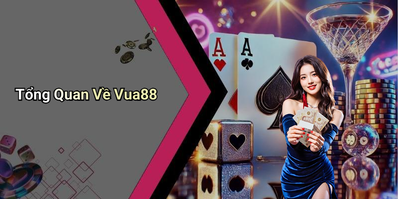 Tổng Quan Về Vua88