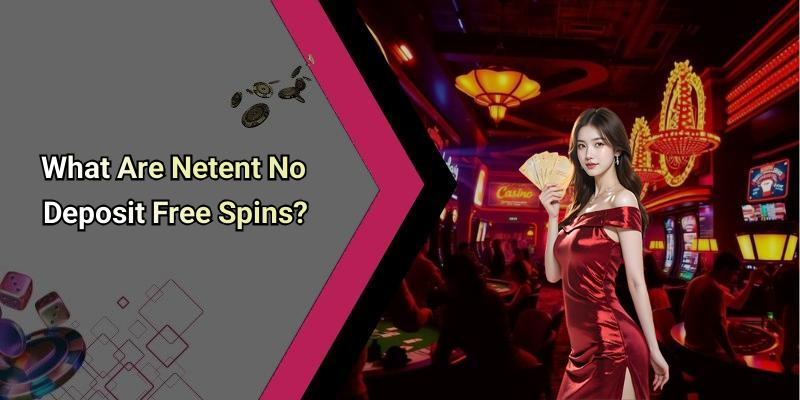 What Are Netent No Deposit Free Spins?