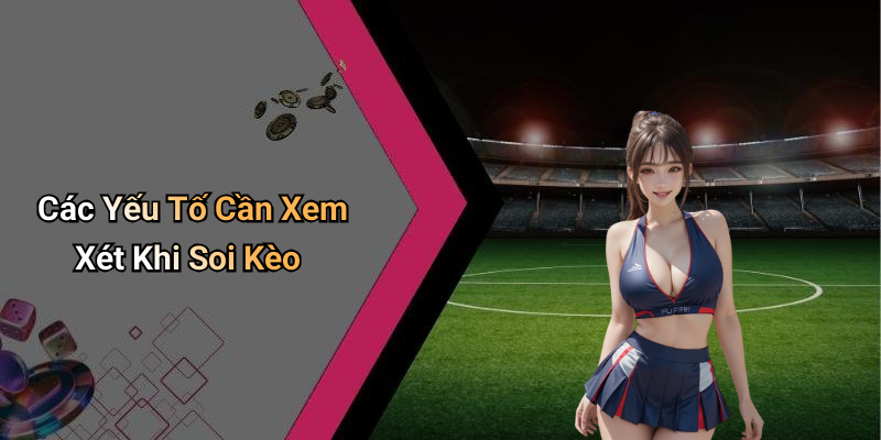 Các Yếu Tố Cần Xem Xét Khi Soi Kèo