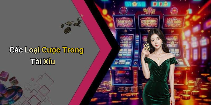 Các Loại Cược Trong Tài Xỉu