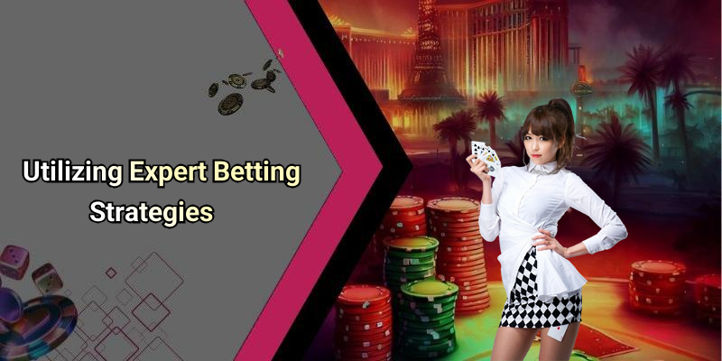 Utilizing Expert Betting Strategies