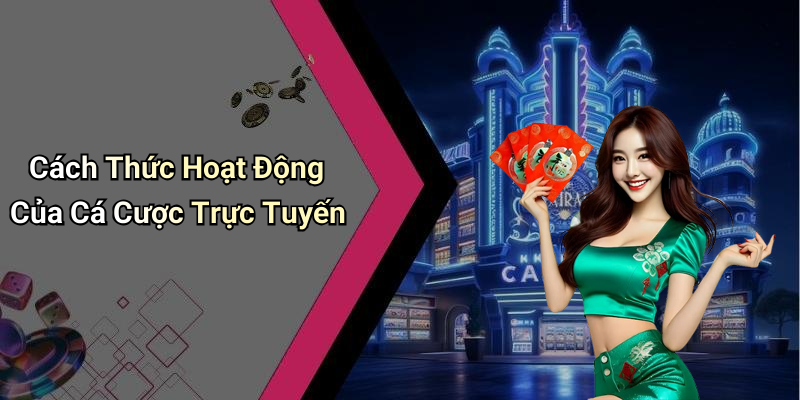 Cách Thức Hoạt Động Của Cá Cược Trực Tuyến