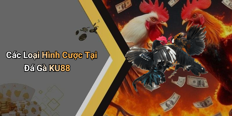 Các Loại Hình Cược Tại Đá Gà KU88