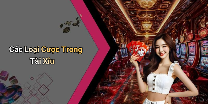Các Loại Cược Trong Tài Xỉu