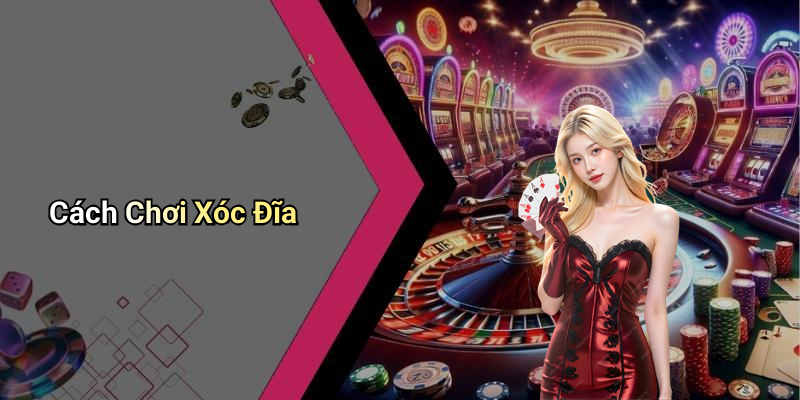 Cách Chơi Xóc Đĩa