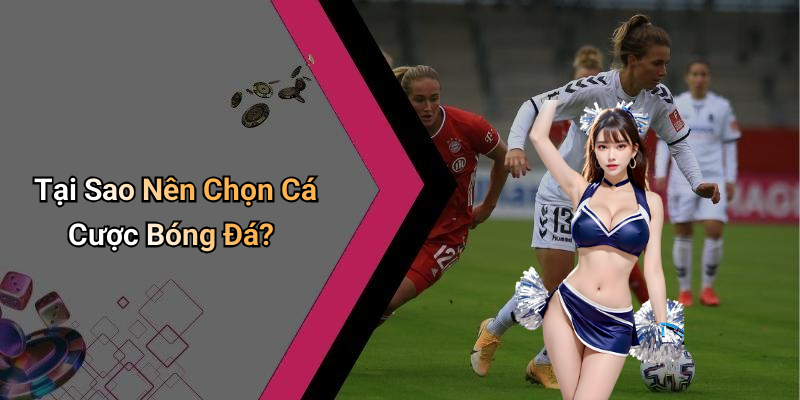 Tại Sao Nên Chọn Cá Cược Bóng Đá?