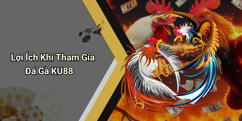 Lợi Ích Khi Tham Gia Đá Gà KU88