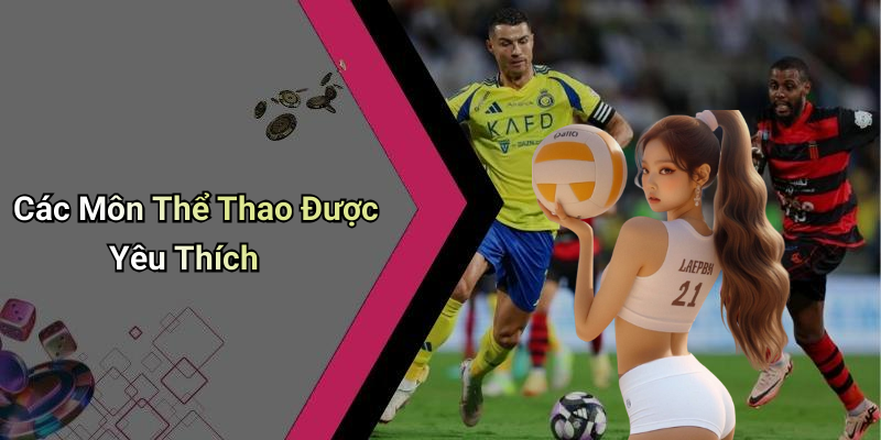 Các Môn Thể Thao Được Yêu Thích