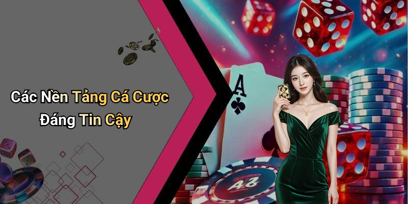 Các Nền Tảng Cá Cược Đáng Tin Cậy