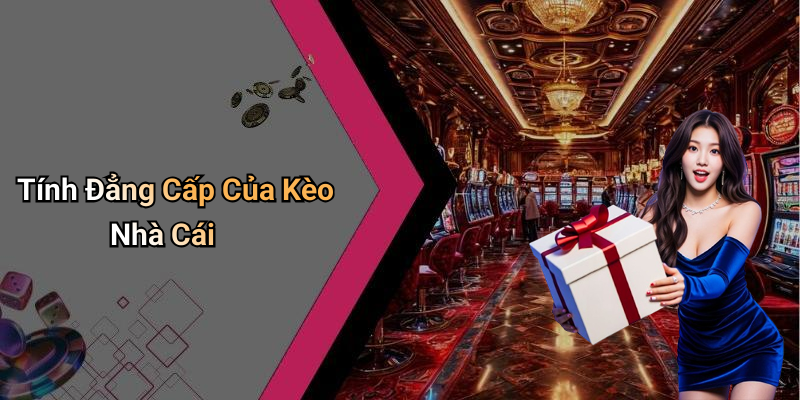 Tính Đẳng Cấp Của Kèo Nhà Cái