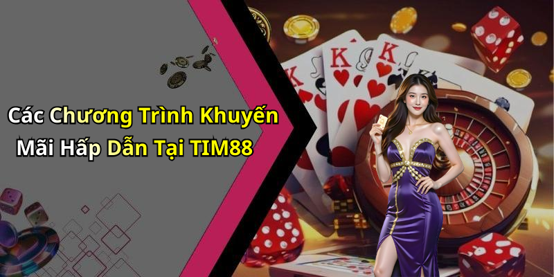 Các Chương Trình Khuyến Mãi Hấp Dẫn Tại TIM88