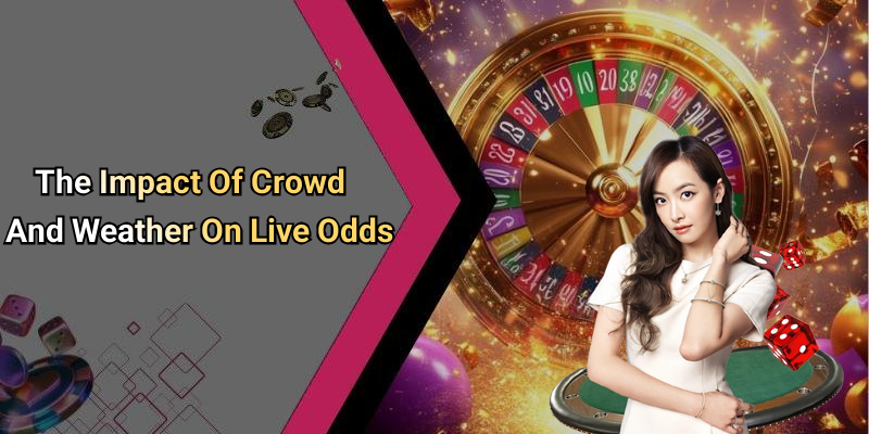 The Impact Of Crowd And Weather On Live Odds